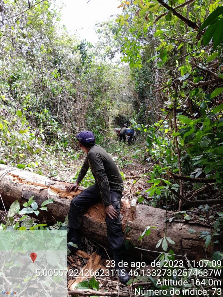 13. Environmental agents clearing a road so that their vehicles can pass