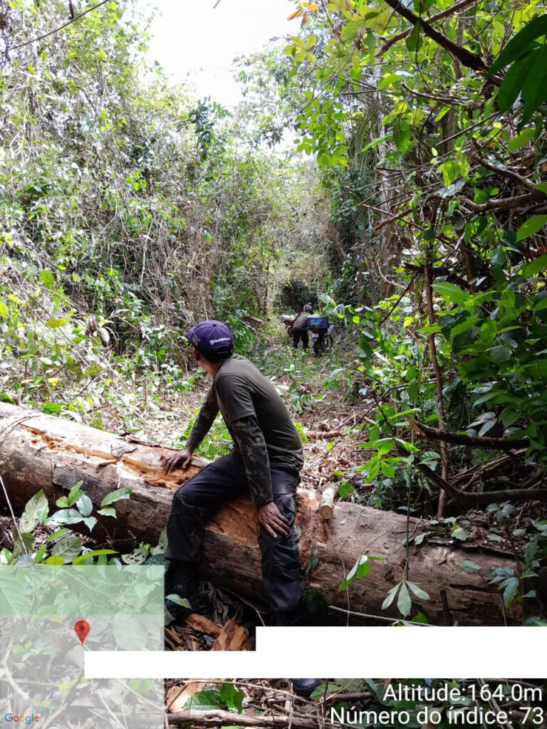 13.-Environmental-agents-clearing-a-road-so-that-their-vehicles-can-pass