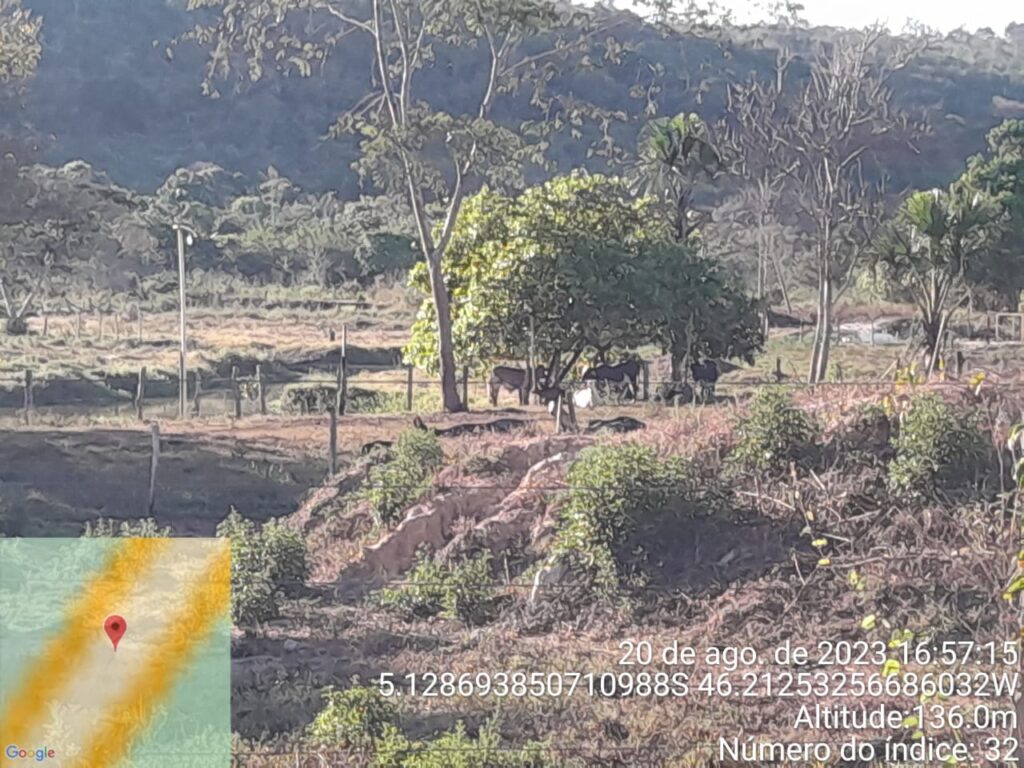 3. Illegal farm